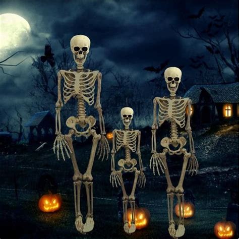 Halloween Decoration Full Size Skeleton Anatomy Model In 2020