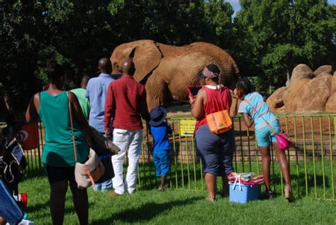 Pretoria Zoo Entrance Fee And Other Prices For 2024