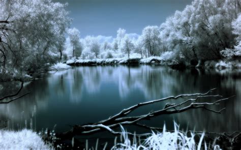 Wallpaper Landscape Forest Lake Nature Reflection Snow Winter