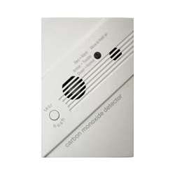 Carbon monoxide in the home can be prevented and detected with a carbon monoxide sensor. 260-CO - GE Security