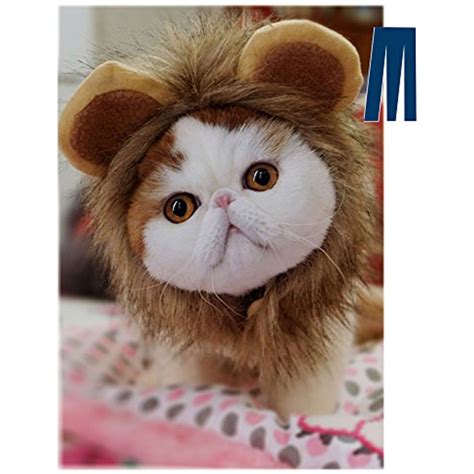 To make a lion costume, start by purchasing a golden sweatsuit for the body. Cat Costume, Lion Mane Wig for Dog Cat Halloween Christmas ...