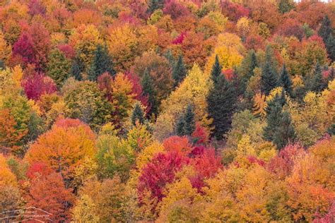 2020 New England Fall Foliage Update An Early Peak Heads