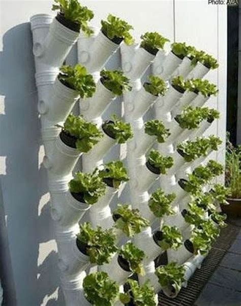 Diy Vertical Garden Pvc Pipe Diy Craft