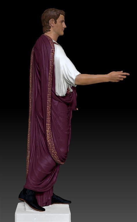 Toga Picta Painted Toga Dyed Solid Purple Embroidered With Gold