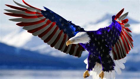 Bald Eagle American Flag Hd Wallpaper For Mobile Phones Tablet And Pc