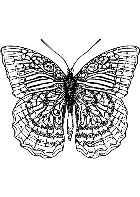 Butterfly Black And White Graphic · Creative Fabrica