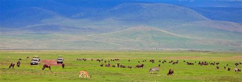 5 Interesting Facts About The Ngorongoro Crater Bespoke African