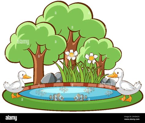Ducks In The Pond On White Background Illustration Stock Vector Image