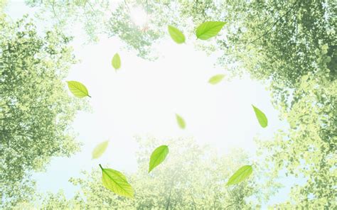 Download Organic Photos Amazing Nature Wallpaper Green Fresh Iphone