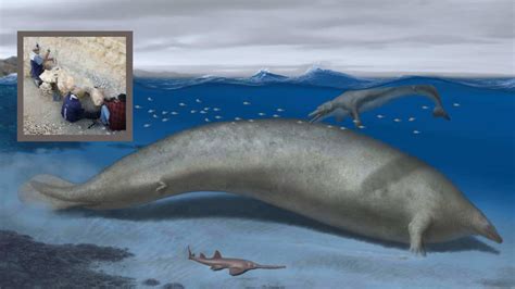 Move Over Blue Whale Scientists Discover 40 Million Year Old Earths
