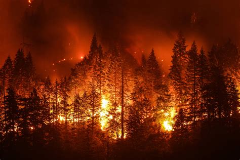 When opportunities arise, shoot arrows at him for how do you skip the lynel? California Fires-What You Need to Know | MWI Animal Health