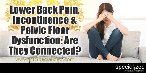 Lower Back Pain Incontinence And Pelvic Floor Dysfunction Are They