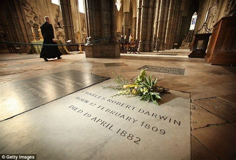 Pictured Charles Darwin S Grave At The Abbey Hawking Will Also Be Close To Memorials Or Graves
