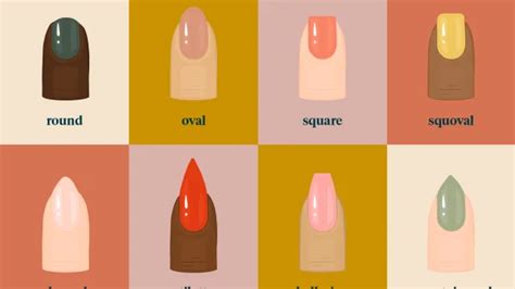 how to find the best nail shape for youhellogiggles