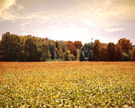 Early Autumn Harvest Landscape Photograph By Jai Johnson Fine Art America