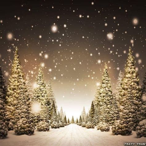 10 New Snowy Christmas Scenes Photos Full Hd 1080p For Pc