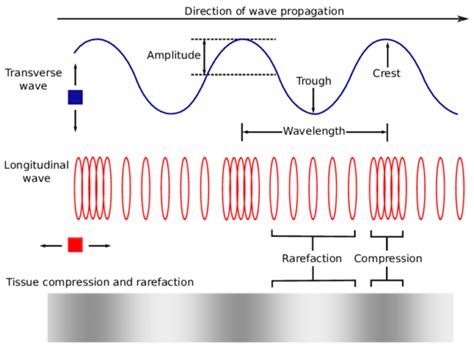 Wave Its Types And Characteristics Online Science Notes