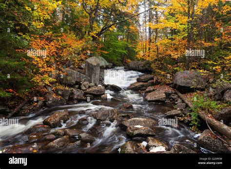 Waterfall Adirondack Mountains Lake Pleasant New York United States