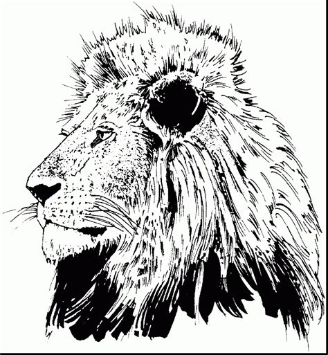 Advanced Sheets Of Lions Coloring Pages