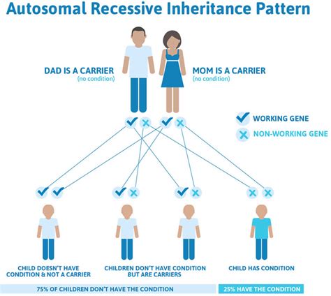 Autosomal Recessive Inheritance Pattern And Autosomal Recessive Diseases