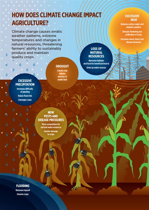 Infographic How Does Climate Change Impact Agriculture Croplife