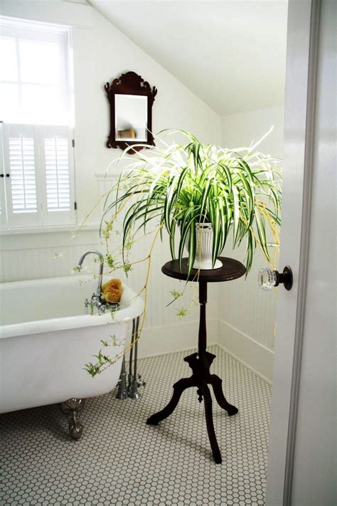 Cool Plant Stand Design Ideas For Indoor Houseplant 81