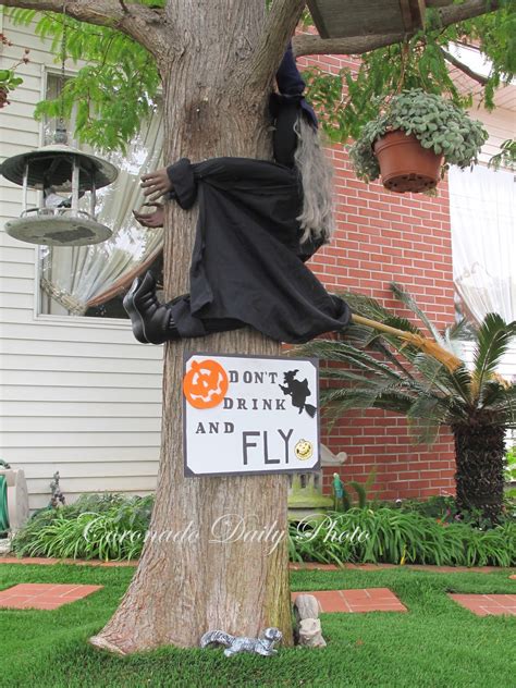 Sip on this drink in place of your regular water. Coronado Daily Photo: Don't Drink And Fly