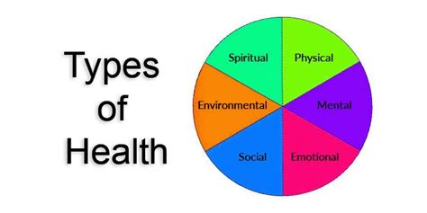 10 Different Types Of Health Elle Stoj And Co