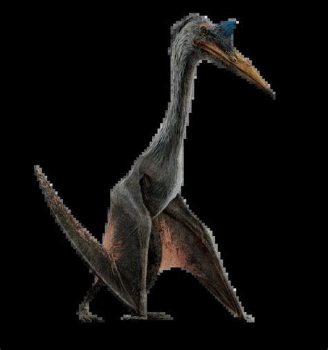 Quetzalcoatlus Jurassic Park Wiki Fandom