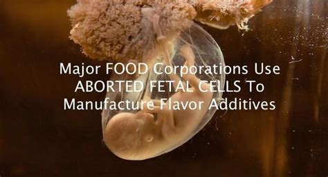 In short, senomyx produces a certain flavor for a company and then needs to test it to ensure it is the exact flavor. 27 best Read your food lables -HEK293 - Human Embryonic ...