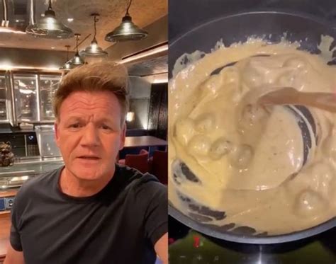 Gordon Ramsay Roasts Aspiring Chefs On TikTok And Compares Food To