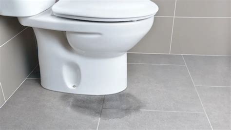 Toilet Leaks When Flushed Heres How To Quickly Fix It