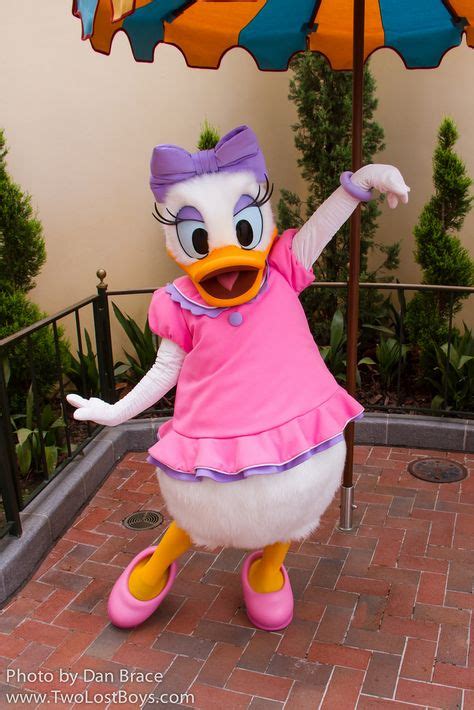 Pin By Carla Mccoy On Cute Daisy Duck Animated Movies Characters