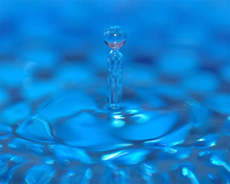 Free Images Water Drop Flower Petal Reflection Blue Macro