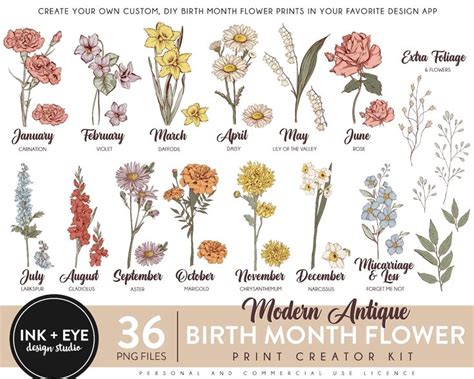 Birth Month Flowers Clipart Antique Floral Png Bundle Diy Etsy