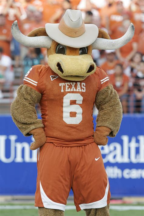 University Of Texas Longhorns Mascot