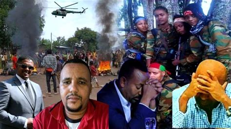 Oduu Afaan Oromo Hatattaman Amma Nu Gahe Youtube