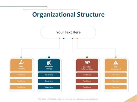 Organizational Structure Investment Ppt Powerpoint Presentation Example