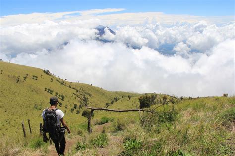 Jalur Pendakian Gunung Merbabu Via Suwanting Dan Wekas Dibuka Lagi