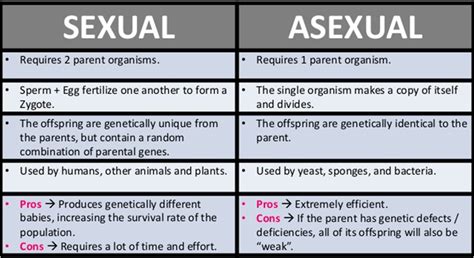 Pros And Cons Of Asexual Reproduction Biology My Xxx Hot Girl