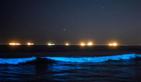 Red Tide Sticks Around Oc 7 Things To Know About Glowing