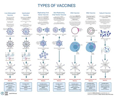 Types Of Vaccines Infographics Epidemiology Covid 19 Response Corps