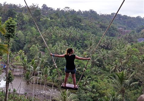 Is The Bali Swing Safe Know The Facts Of The Accident Here