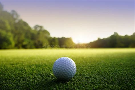 Golf Ball On Green In Beautiful Golf Course At Sunset Background Stock