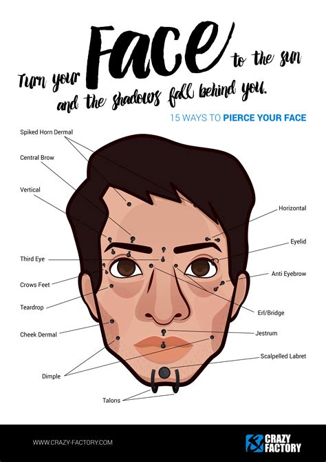 Piercing Infographics Face Facial Piercings Anti Eyebrow Piercing