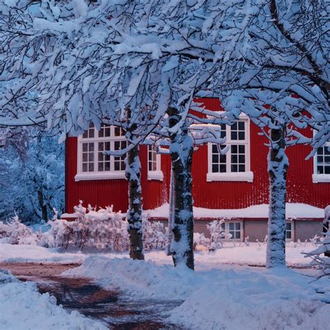 Winter Iceland Noel Kış