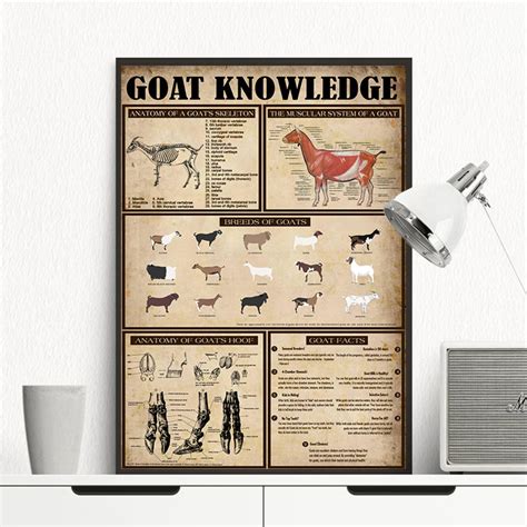 Goat Knowledge Poster Vintage Poster Goat Decor Poster Goat Etsy