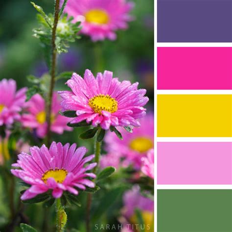 24 Best Flower Inspired Color Palettes Sarah Titus From Homeless To