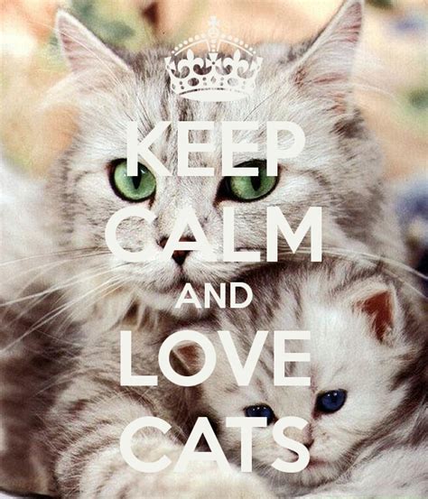 Keep Calm And Love Cats Poster Karolina Keep Calm O Matic