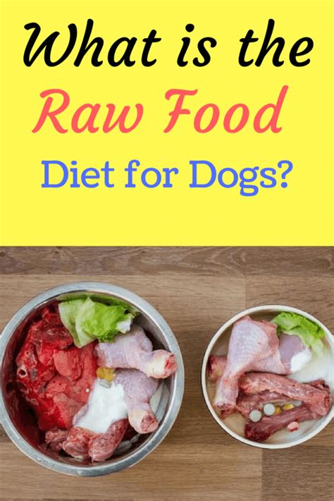 So here is a yummy and homemade raw dog food recipe. What is the Raw Food Diet for Dogs? | Raw dog food recipes ...